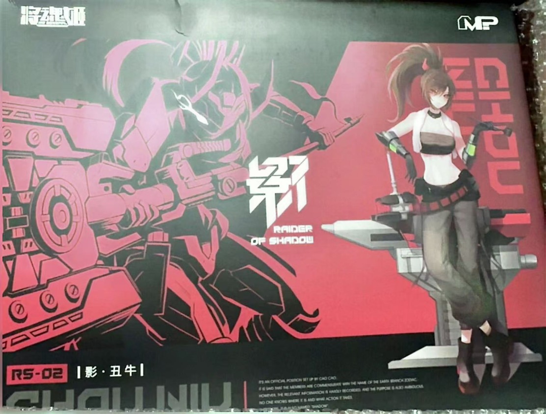 MS GENERAL Raider of Shadow RS - Model Kit Ms General avaliação e preço